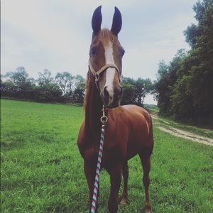 Meet your Posher, Erika